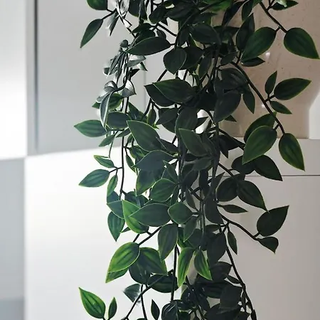 Appartement Ground Floor *